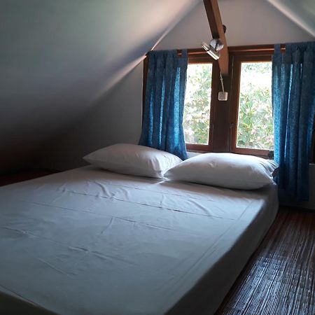 Le Jardin Otel Amed Oda fotoğraf
